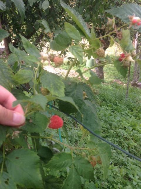 Agriturismo I Due Regni Petrella Salto المظهر الخارجي الصورة
